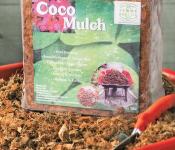 Coco Mulch (1)